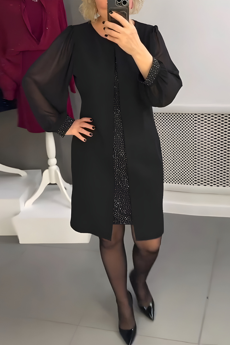 Women's Sheer Sleeve Dress – Fitted Feminine Occasion Dress