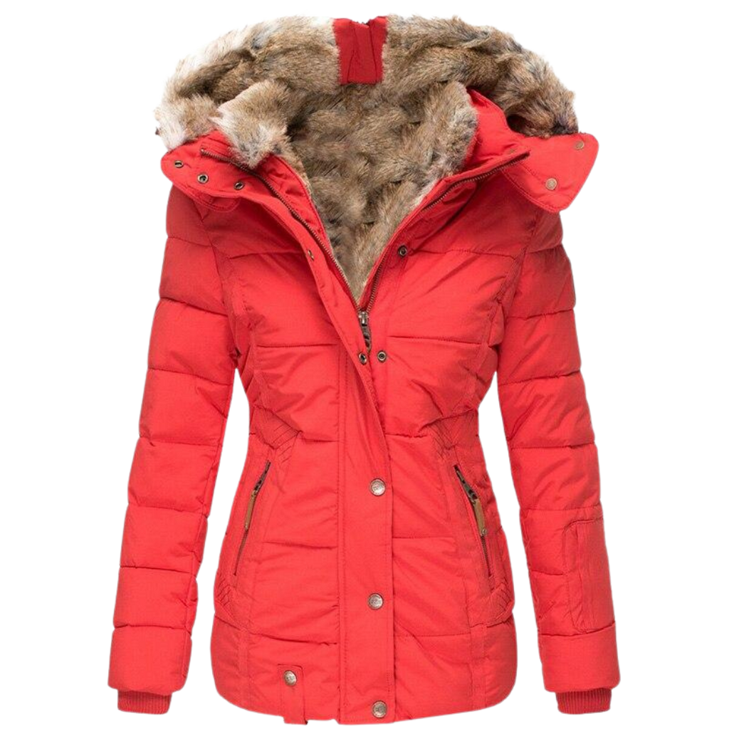 Women's Faux Fur Lined Winter Jacket – Button Front Stand Collar Coat