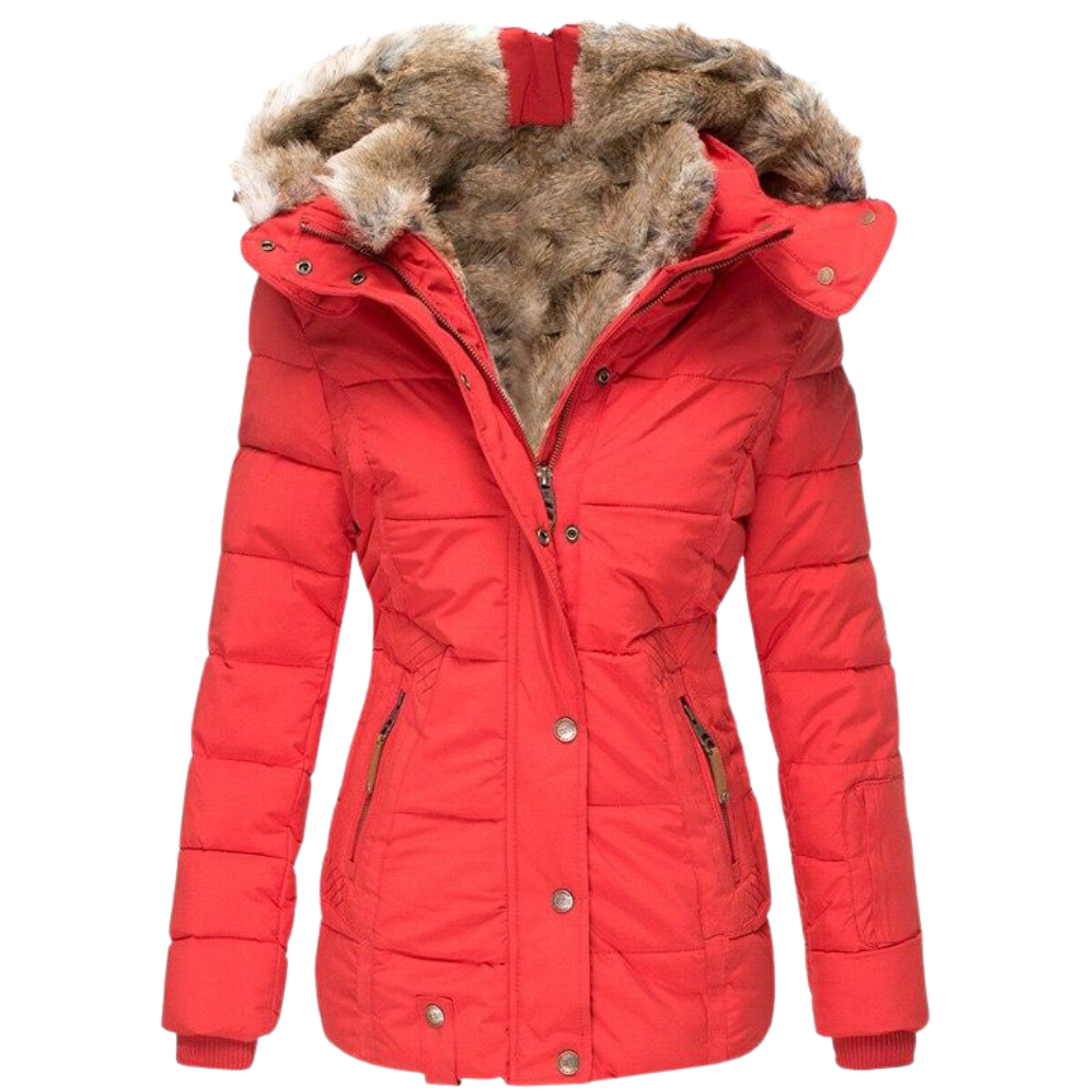 Women's Faux Fur Lined Winter Jacket – Button Front Stand Collar Coat
