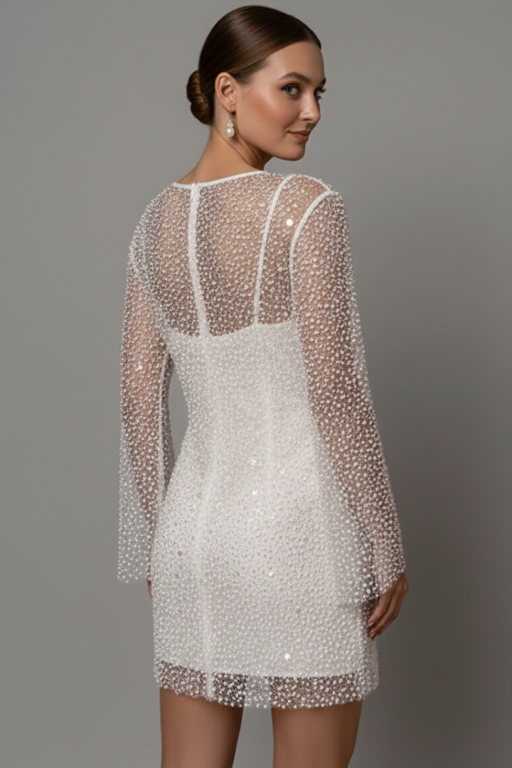 Women's Mesh Overlay Mini Dress – Long Sleeve Party Dress