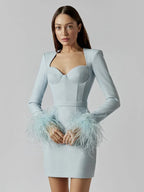 Women's Feather Trim Dress – Long Sleeve Evening Party Dress