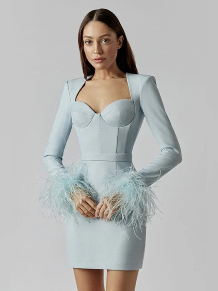 Women's Feather Trim Dress – Long Sleeve Evening Party Dress