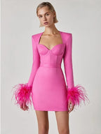 Women's Feather Trim Dress – Long Sleeve Evening Party Dress