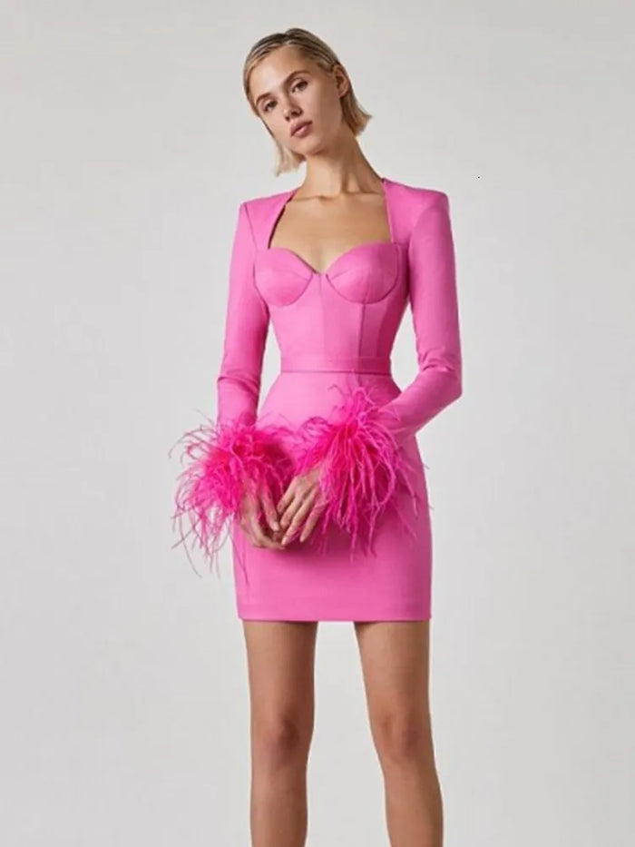 Women's Feather Trim Dress – Long Sleeve Evening Party Dress