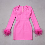 Women's Feather Trim Dress – Long Sleeve Evening Party Dress