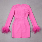 Women's Feather Trim Dress – Long Sleeve Evening Party Dress