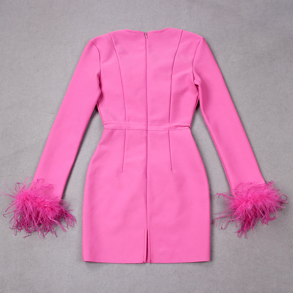 Women's Feather Trim Dress – Long Sleeve Evening Party Dress
