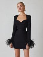 Women's Feather Trim Dress – Long Sleeve Evening Party Dress