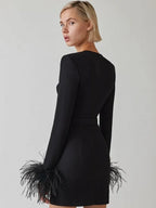 Women's Feather Trim Dress – Long Sleeve Evening Party Dress