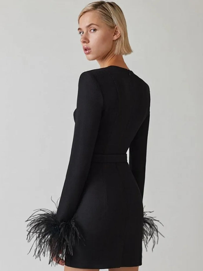 Women's Feather Trim Dress – Long Sleeve Evening Party Dress